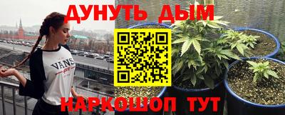 ПСИЛОЦИБИНОВЫЕ ГРИБЫ Камышлов