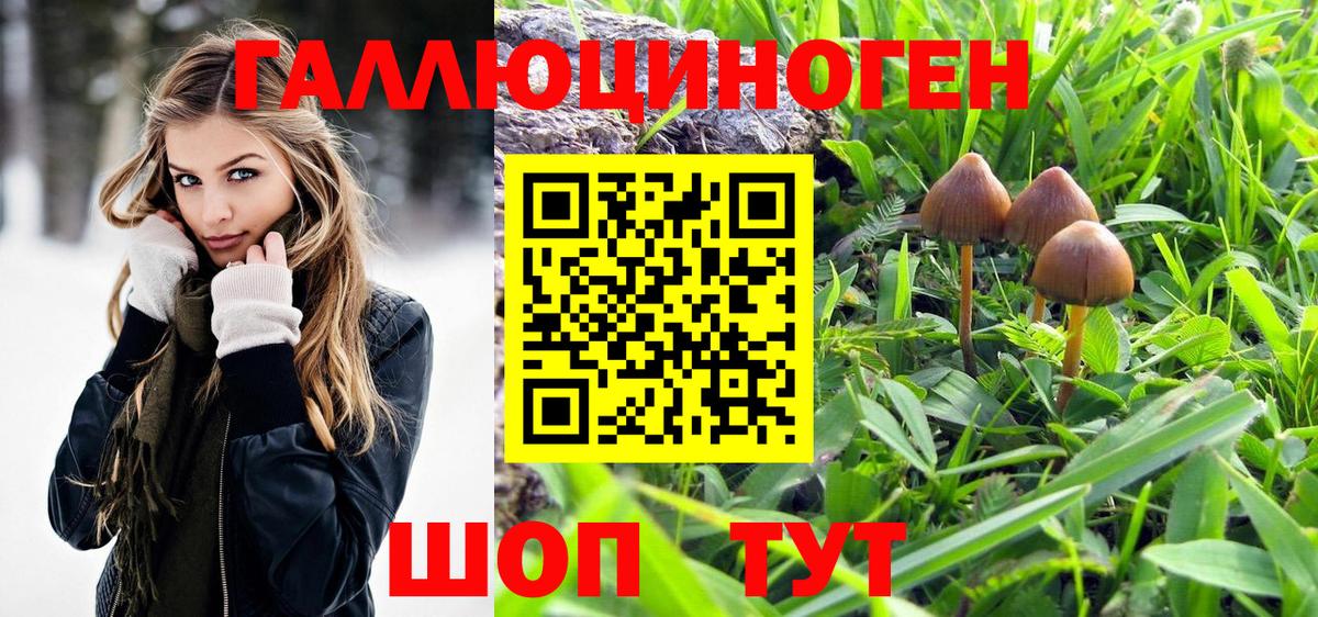 Псилоцибиновые грибы прущие грибы Великие Луки